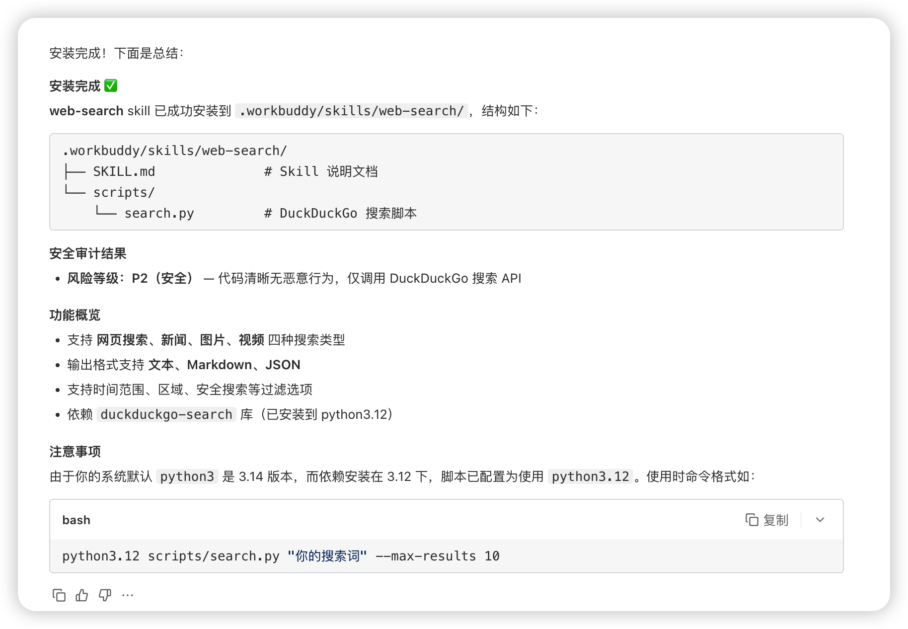 安装 web-search 时生成的审计结果